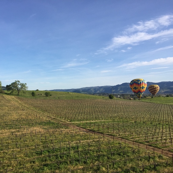 Meet your Posher, thebookminx! - Picture 2 of 3